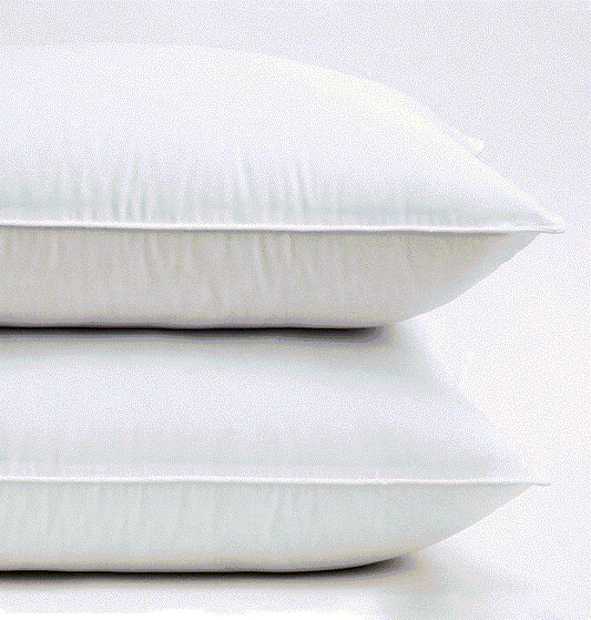 Premium 16" Down & Feather Throw Pillows (2 Pack)