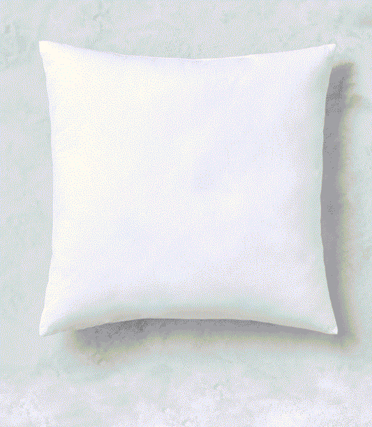 Premium 16" Down & Feather Throw Pillows (2 Pack)