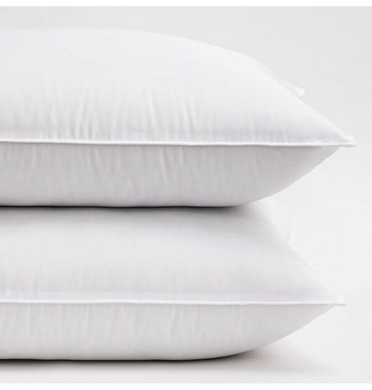 Premium 18" Down & Feather Throw Pillows (2 Pack)