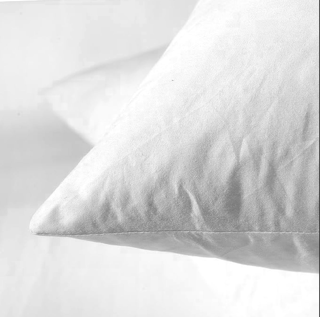 Premium 14" Down & Feather Throw Pillows (2 Pack)