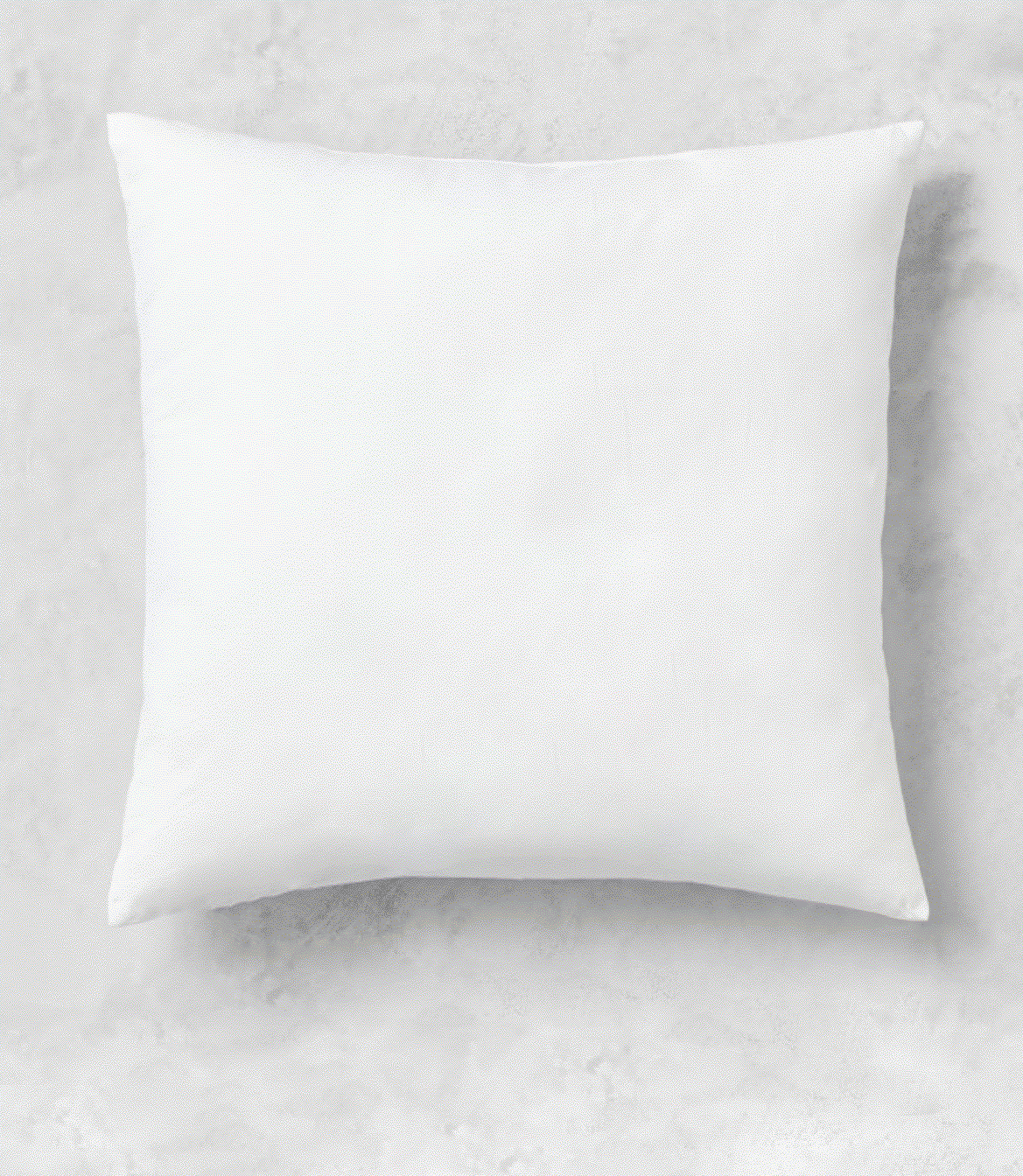 Premium 16" Down & Feather Throw Pillows (2 Pack)