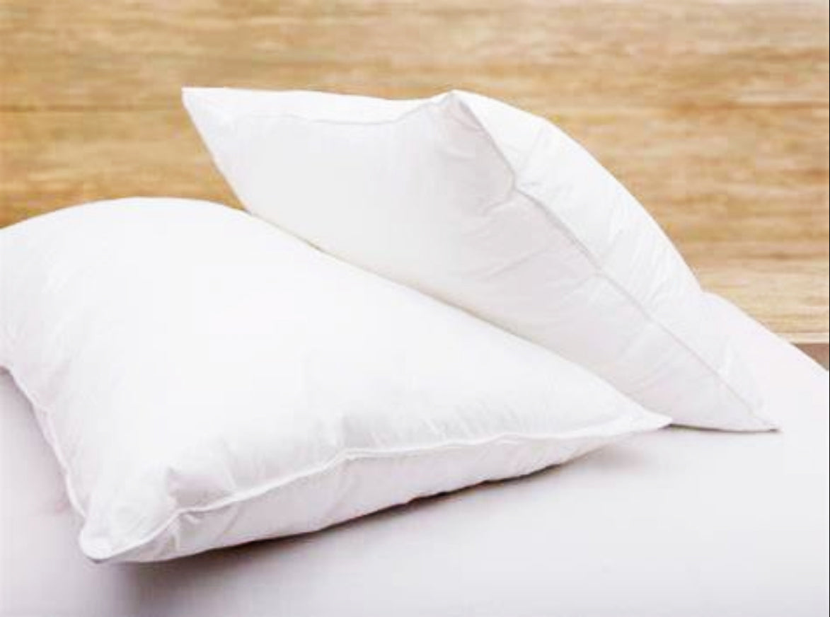 22" Premium Polyester Throw Pillow Insert (Pack of 2)