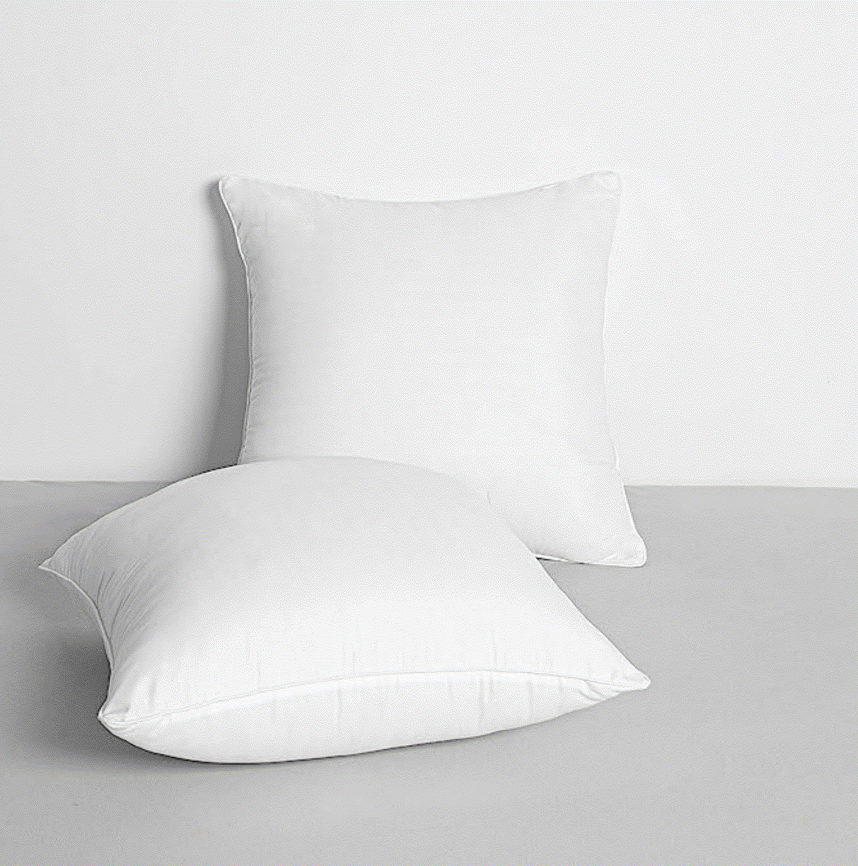 Premium 18" Down & Feather Throw Pillows (2 Pack)