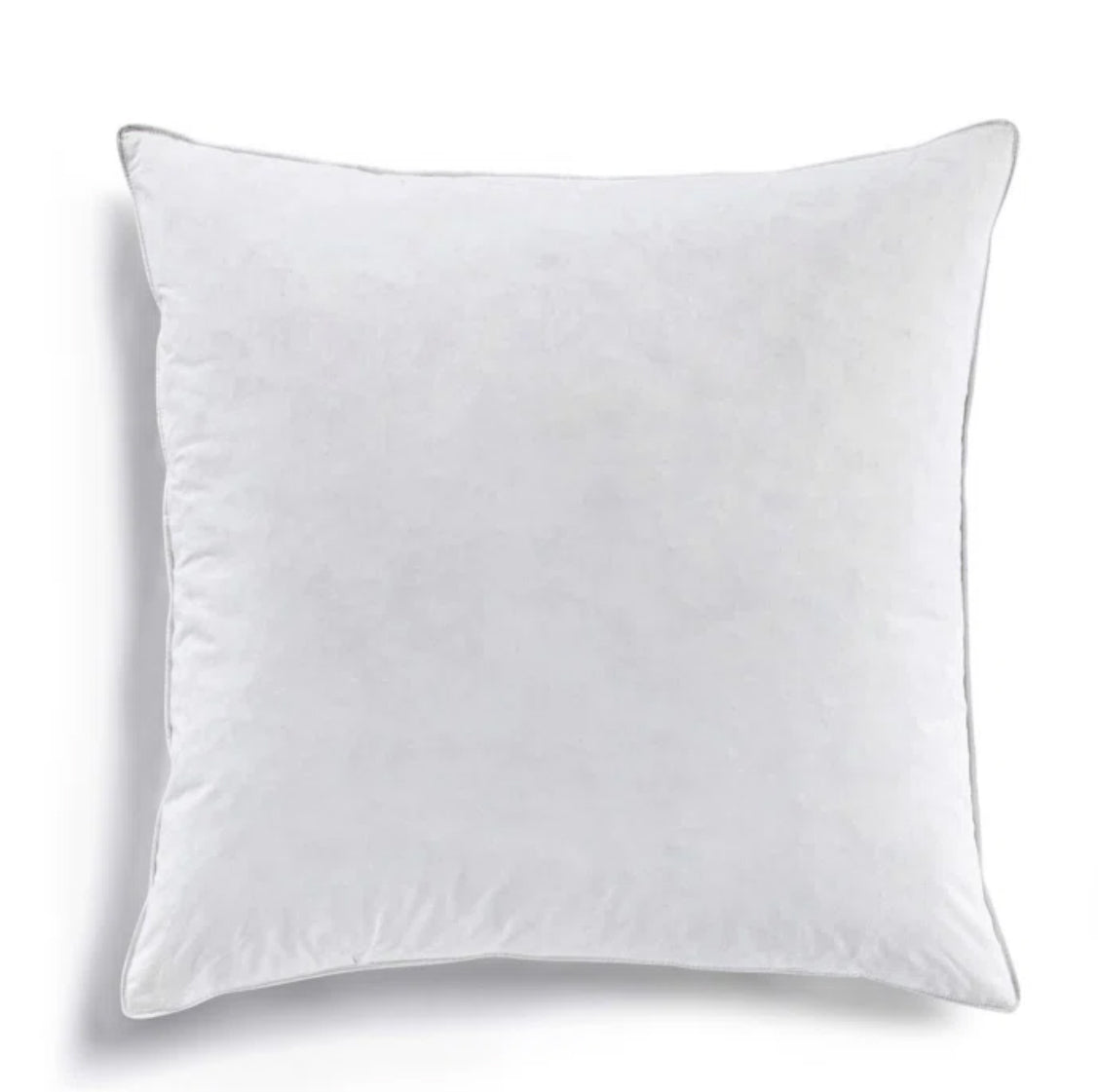 Premium 22" Down & Feather Throw Pillows (2 Pack)