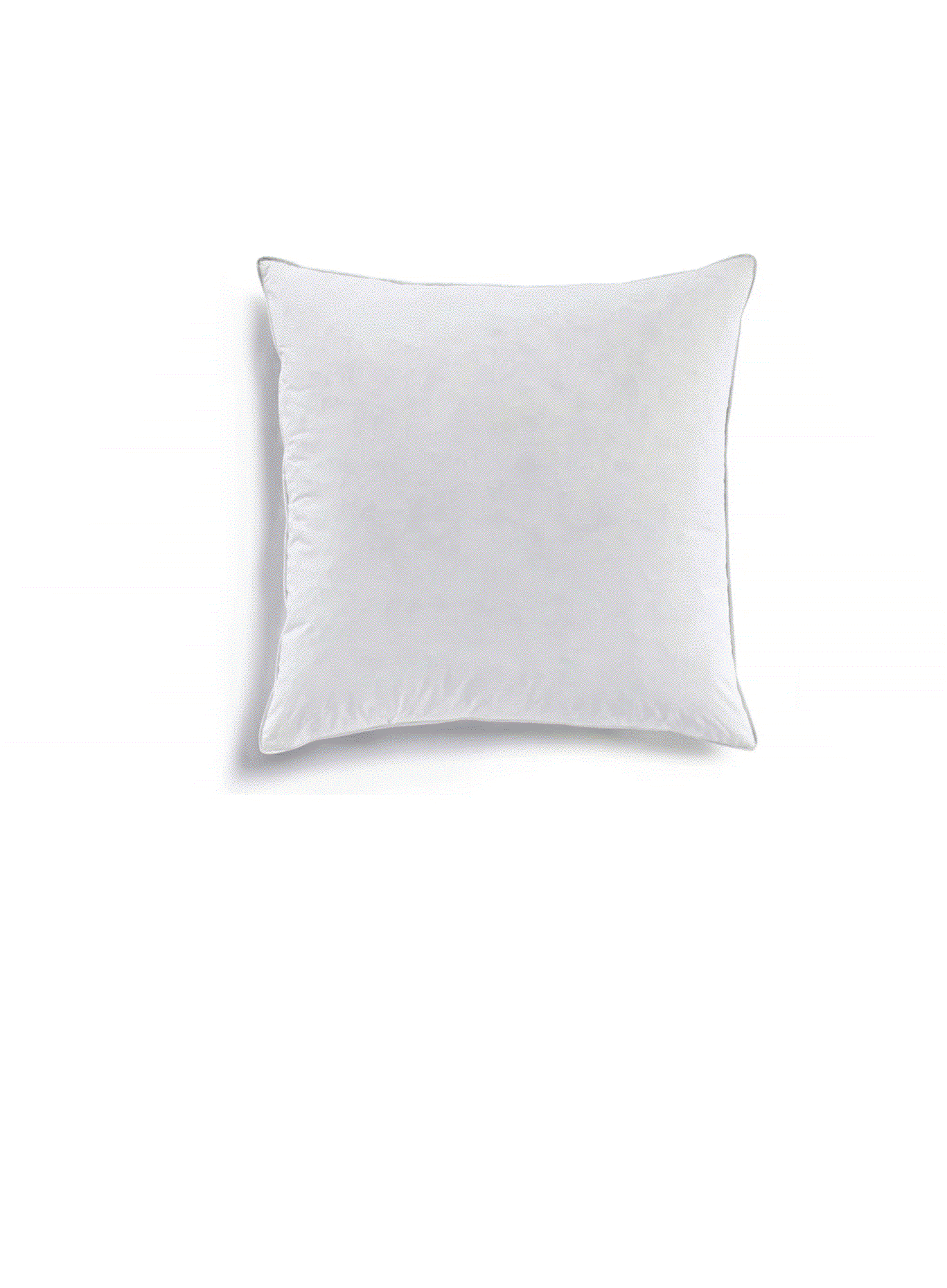 Premium 22" Down & Feather Throw Pillows (2 Pack)