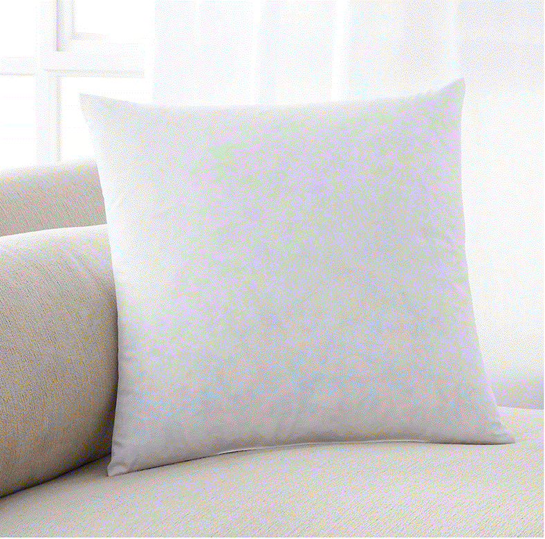 Premium 22" Down & Feather Throw Pillows (2 Pack)