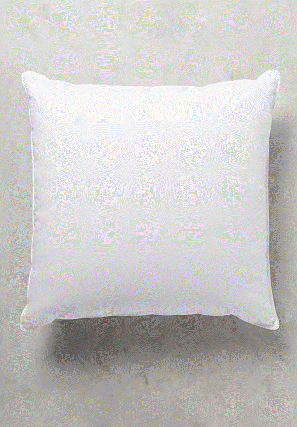 22" THROW PILLOW INSERT-SYNTHETIC DOWN (Pack of 2)
