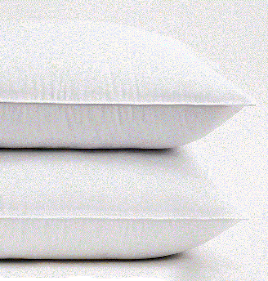 22" THROW PILLOW INSERT-SYNTHETIC DOWN (Pack of 2)