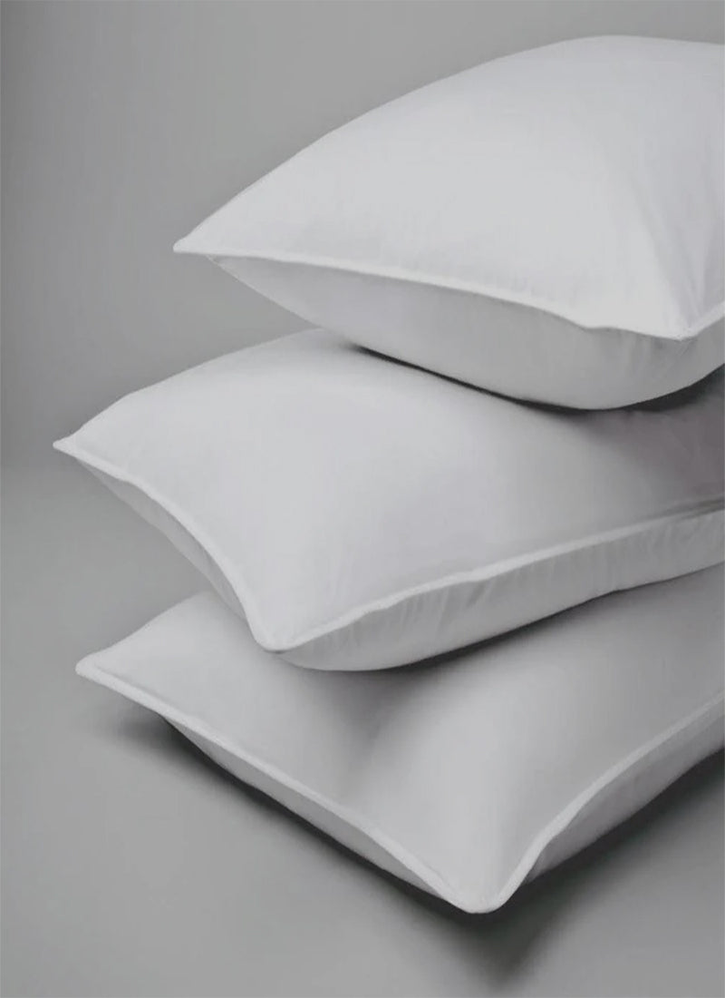 Premium 24" Down & Feather Throw Pillows (2 Pack)