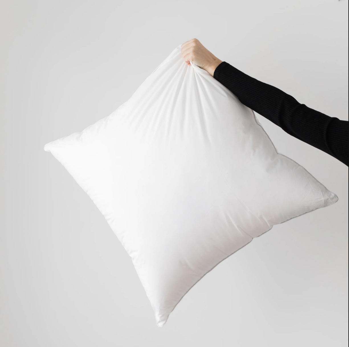 26" Premium Polyester Throw Pillow Insert (Pack of 2)