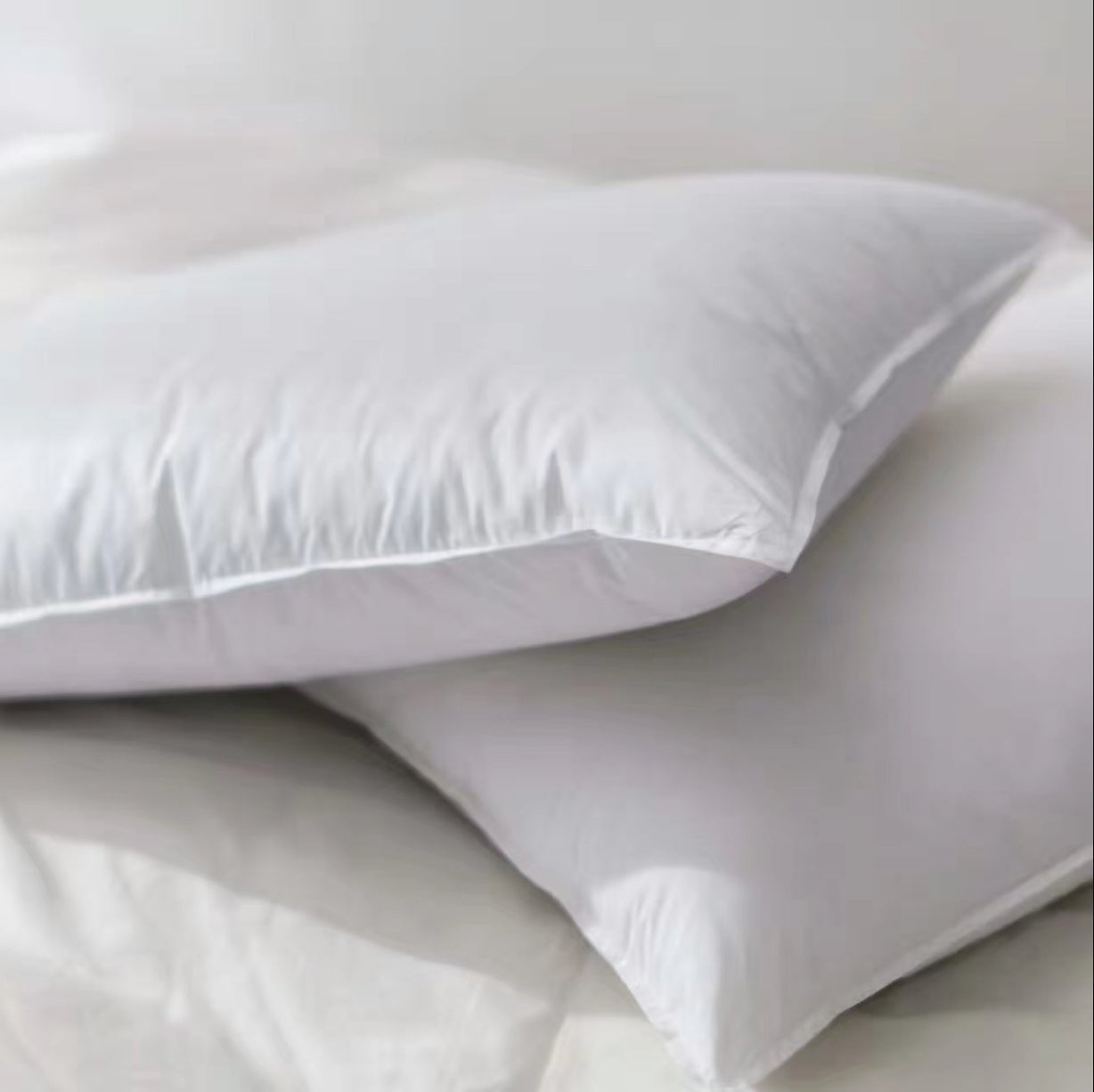 LUCID Down Blend  Bed Pillow