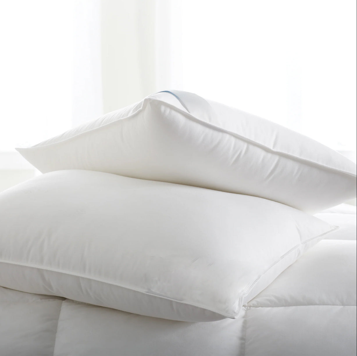 LUCID Down Blend  Bed Pillow