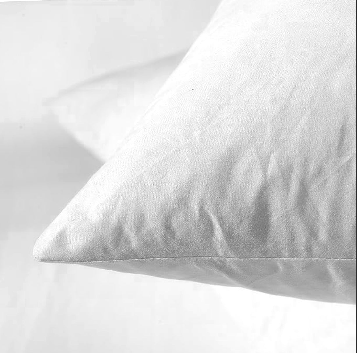 22" Premium Polyester Throw Pillow Insert (Pack of 2)